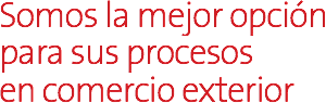 Somos la mejor opción para sus procesos en comercio exterior